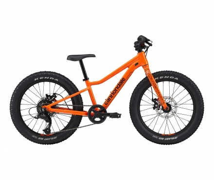20 Trail Plus (ORG)