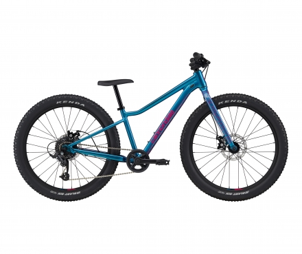 24 Trail Plus (DTE)