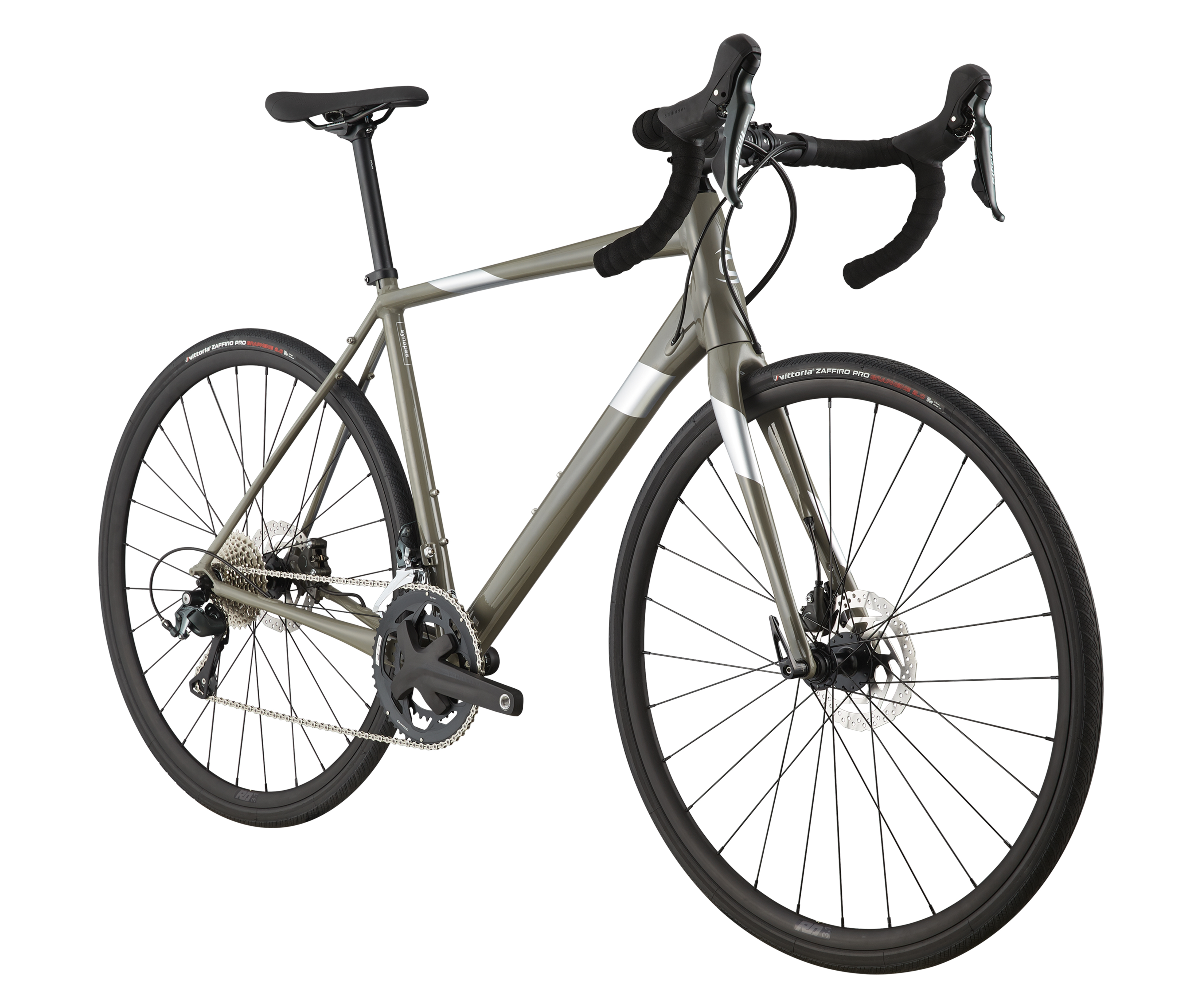 Synapse 1 (SGY)