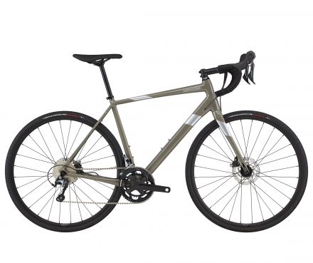 Synapse 1 (SGY)