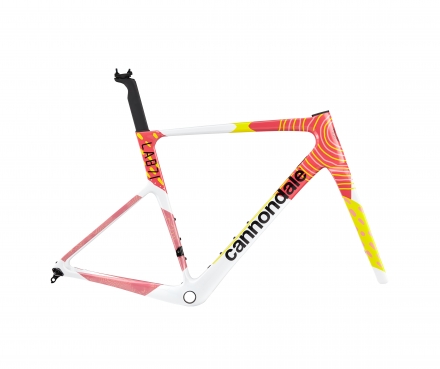 SuperSix EVO LAB71 Frame (ERP)