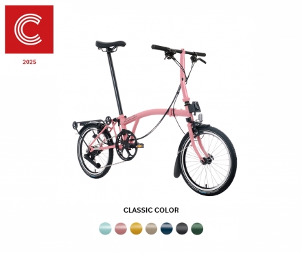 2025 C Line Explore with Rack (12SPD) - Low