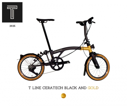 25 T Line Mid 12 Exp Black and Gold