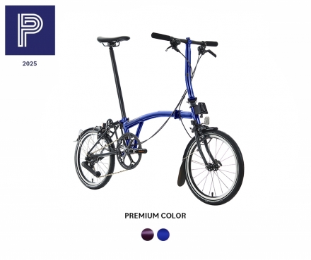 2025 P Line Urban With Rack- Low (Premium)