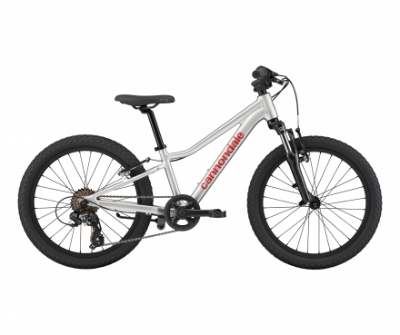 20 Trail (SLV)