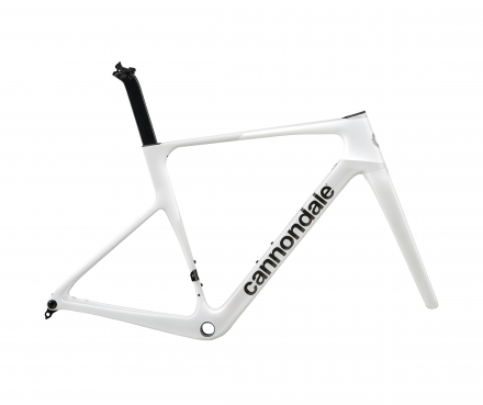 SuperSix EVO Frame (CAS)