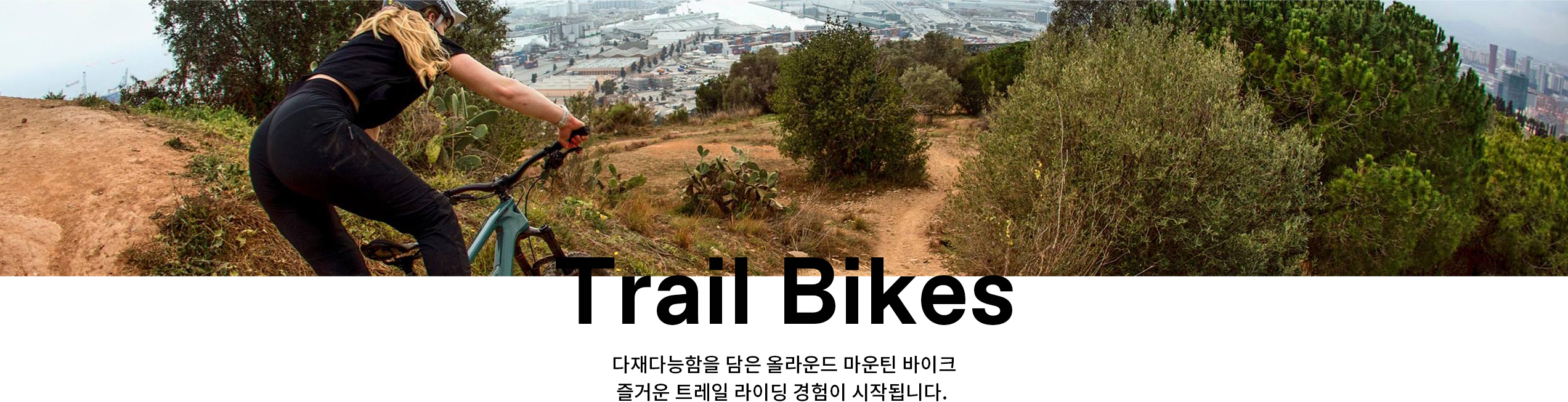 Trail_111216.jpg